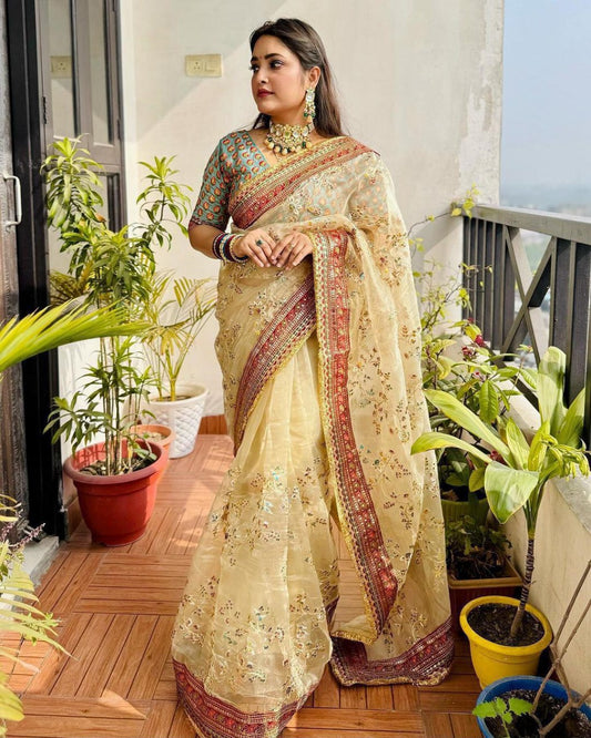 organza brown colour organza silk saree with muliticolour seqnce